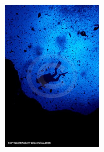Morrison Springs Underwater 1 Print
