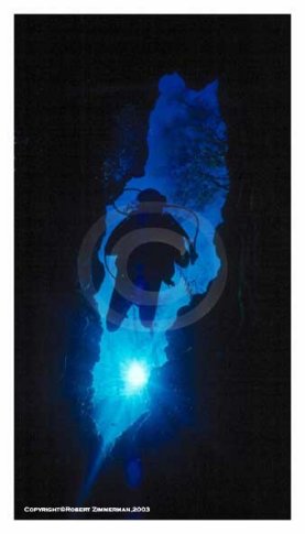 Ginnie Springs Underwater 1 Print