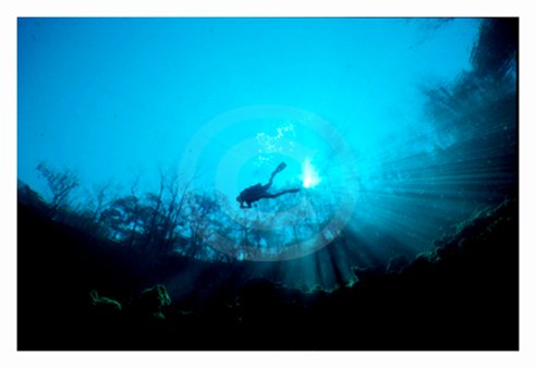 Troy Springs Underwater 1 Art Print