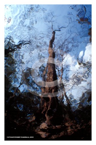 Aquatic Landscapes 3 Art Print