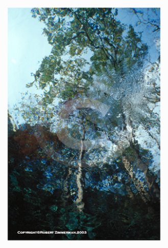 Aquatic Landscapes 4 Art Print