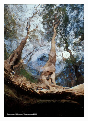 Aquatic Landscapes 6 Art Print