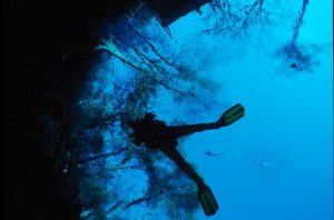 Cypress Springs Underwater Diver Photo