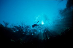 Troy Springs Underwater Diver Photo