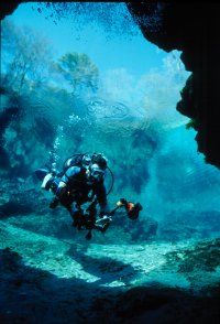 Little River Springs Underwater Diver Photo