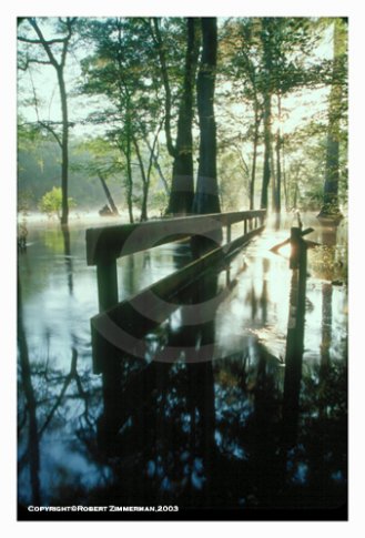 Springs 5 Art Print