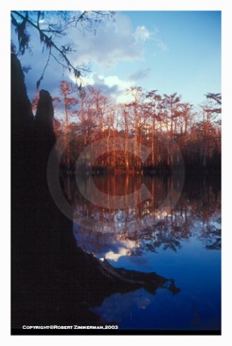 Morrison Springs 3 Art Print