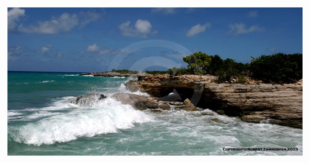 Tropics 10 Art Print