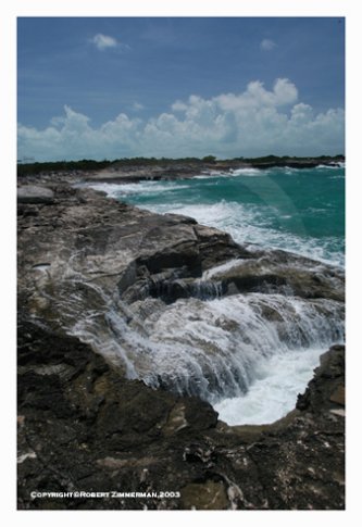 Tropics 13 Art Print