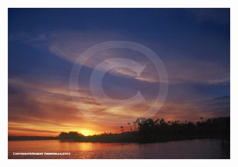 Tropics 1 Art Print