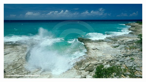 Tropics 4 Art Print