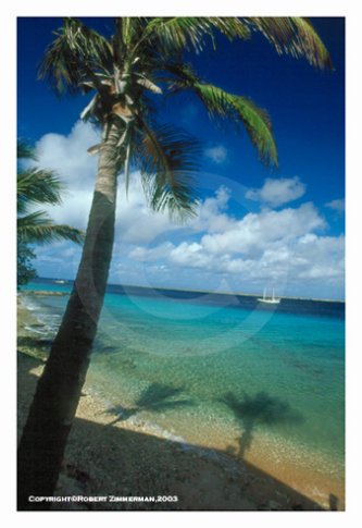 Tropics 7 Art Print