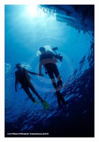 Underwater World 10 Art Print